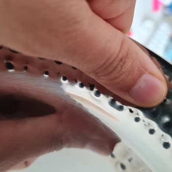 Evidea Müşteri Hizmetleri Ve Kalite Kontrol Sorunu