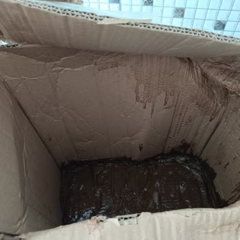 MNG Kargo Sahil Şubesi Şikayeti