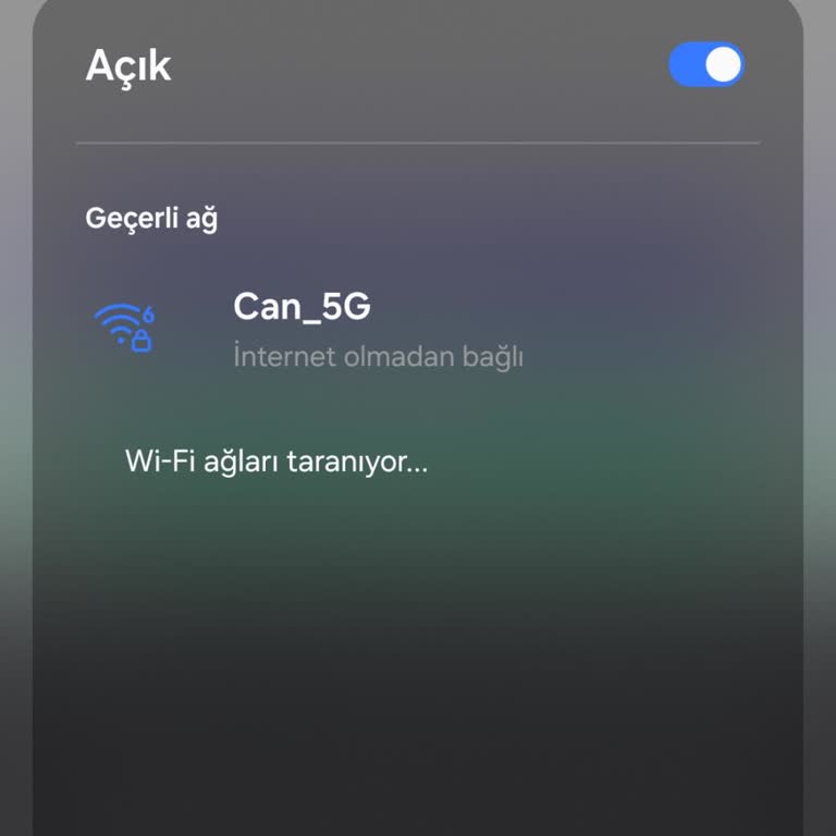 Atlantis İnternet İle Sürekli Bağlantı Sorunları