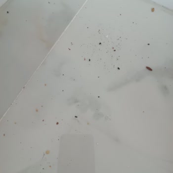 Arçelik Süpürge: 1 Ayda Hayal Kırıklığı