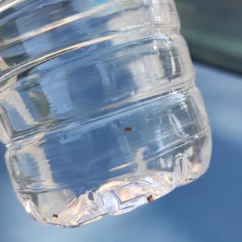 Sağlığımızı Tehdit Eden Yabancı Maddeli Sular