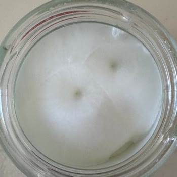 Getir Üzerinden Bozuk Ürün Ve Yetersiz Destek