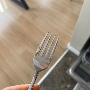 Bosch Bulaşık Makinesi Hayal Kırıklığı