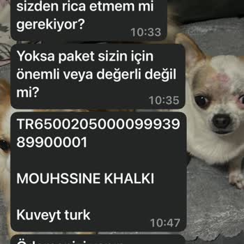 Sahte Veterinerden Gelen Rahatsız Edici Mesajlar