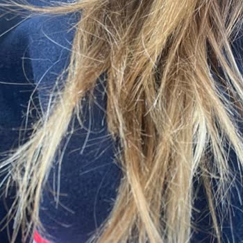 Dyson Airwrap Saçlarıma Zarar Verdi