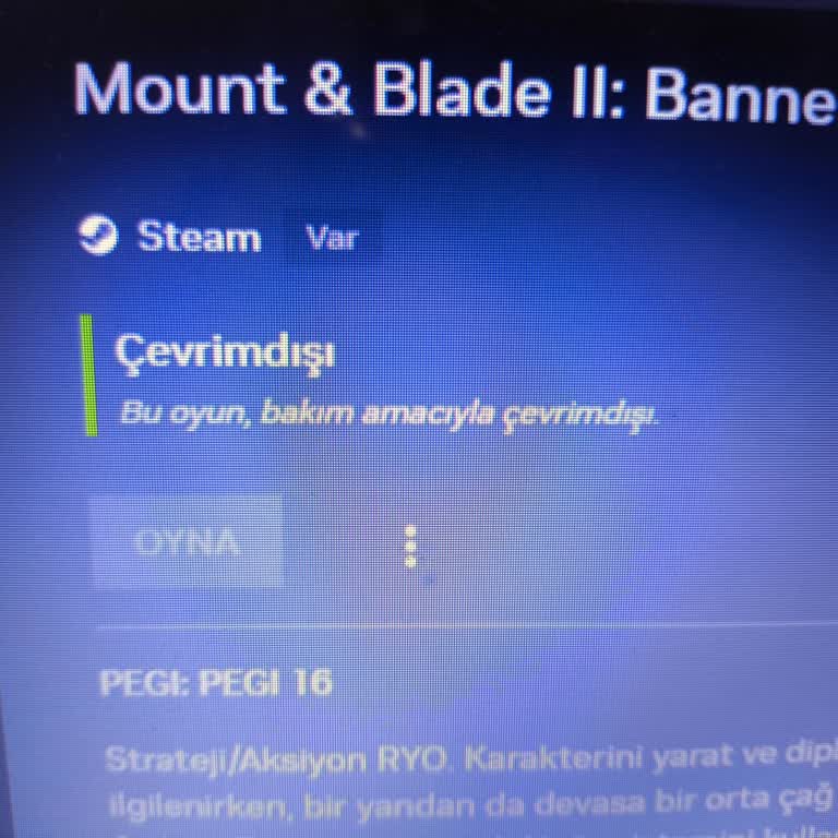 Bannerlord Erişim Sorunu Ve Uzun Süren Bakım