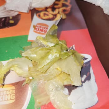 Çürük Yeşillik Ve Bayat Ekmek Sorunu
