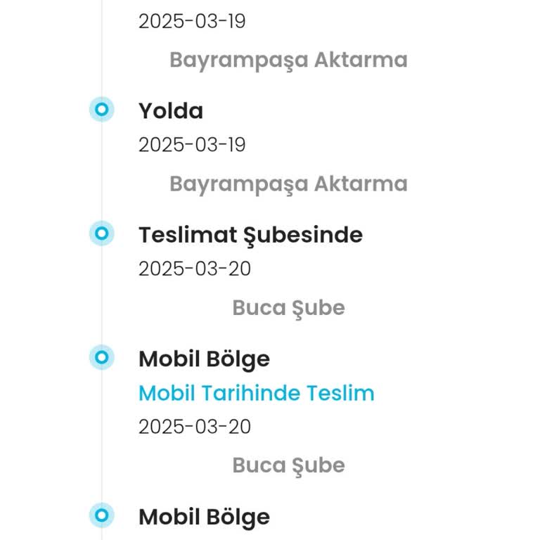 Hızlı Kargo Ücreti Ödedim, Siparişim Hâlâ Gelmedi
