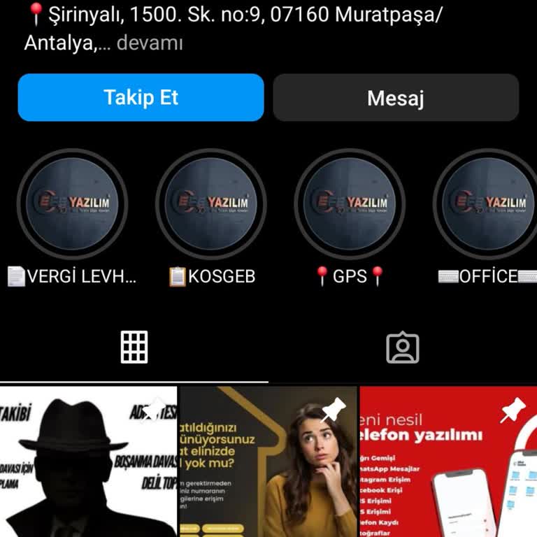 Efe Yazılım Ve Dedektiflik Üslup Sorunu