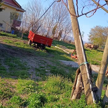 Bahçemdeki Tehlikeli Telekom Direği