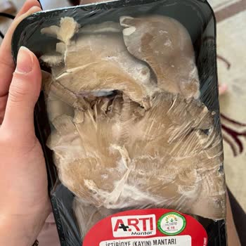 Migros Hemen'den Gelen Küflü Ürün Ve İletişim Sorunu