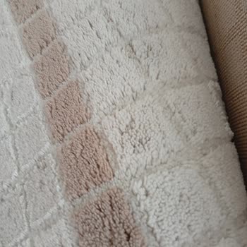 Temiz Ev Grup Halı Yıkama Mağduriyeti