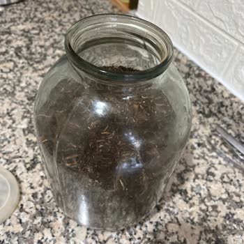 BİM'den Aldığım Efor Çayının Kalitesizliği