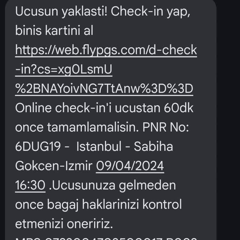 Pegasus'un Overbooking Krizi: Mağduriyet Ve Çözüm Beklentisi
