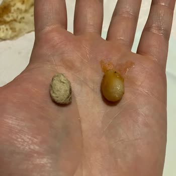 İftar Sofrasında Taş Şoku