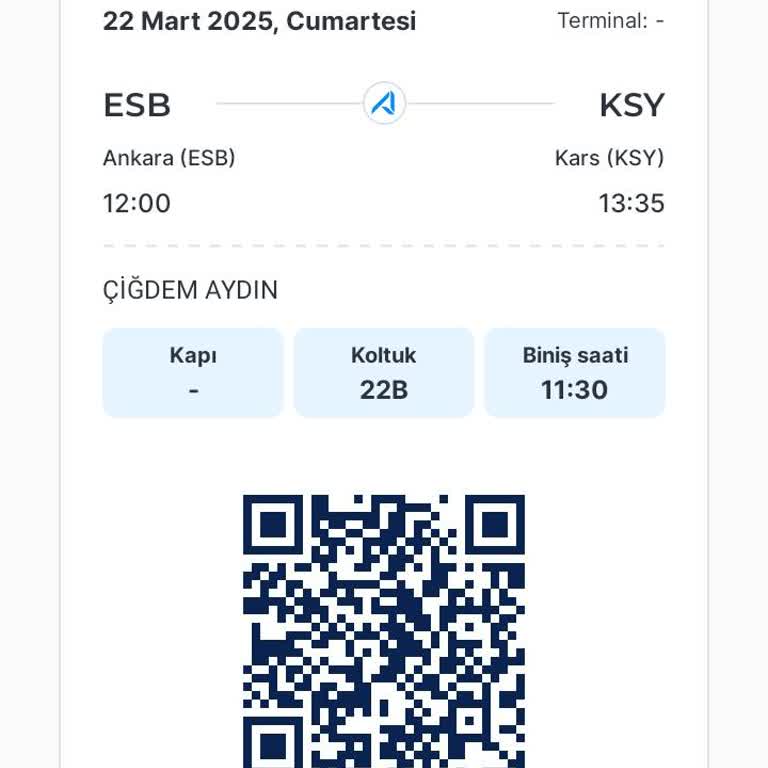 Ajet İle Seyahat: Zorlu Ve Maliyetli Bir Deneyim