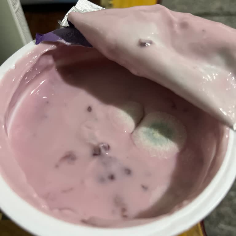 Şok Marketten Aldığım Yoğurt Küflü Çıktı