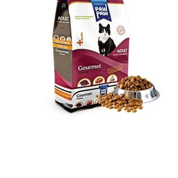 Kedi Maması Yüzünden Sağlık Sorunları