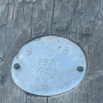 Sokak Aydınlatma Arızası İçin Yetersiz Hizmet