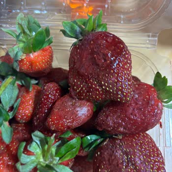 Bozuk Ürün Ve Yetersiz Müşteri Hizmetleri