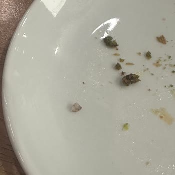 Künefede Cam Parçası Şoku Ve İlgisizlik