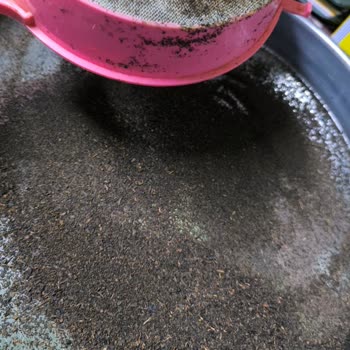 Çaykur Kamelya Çayı: Beklenmedik Hayal Kırıklığı