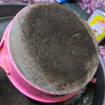 Çaykur Kamelya Çayı: Beklenmedik Hayal Kırıklığı