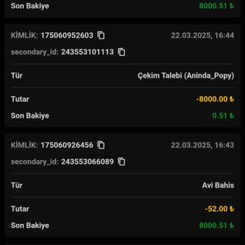 Wipbet Slot Kazancım Sebepsiz Silindi