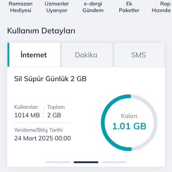 Yanıtsız Kalan Şikayetler Ve İstenmeyen Fatura Yenilemesi
