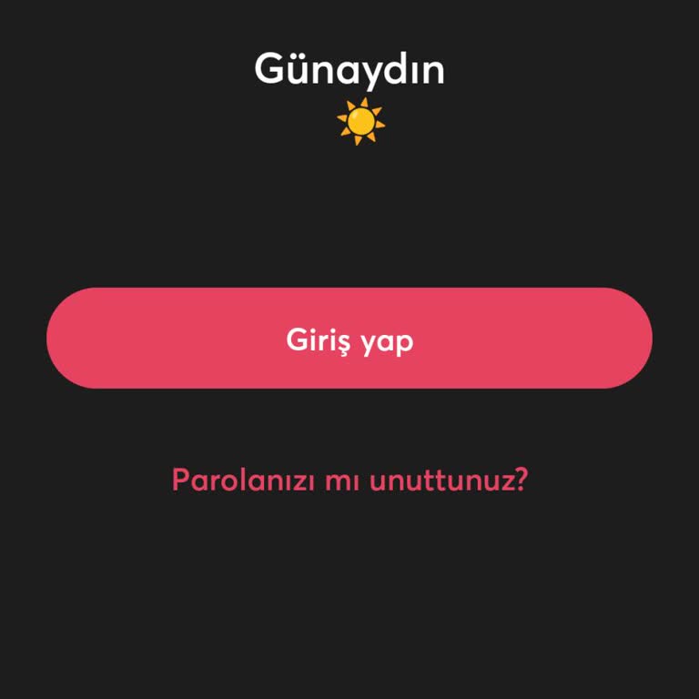 Hesaba Erişim Sorunu Ve Parola Sıfırlama Hatası