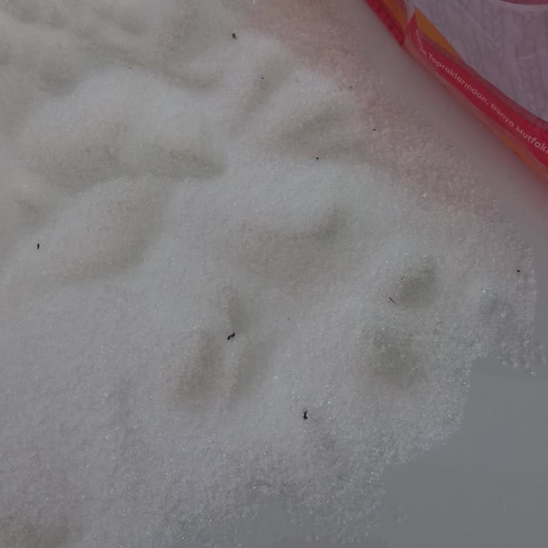 Şekerlerin İçinden Çıkan Gizemli Siyah Maddeler