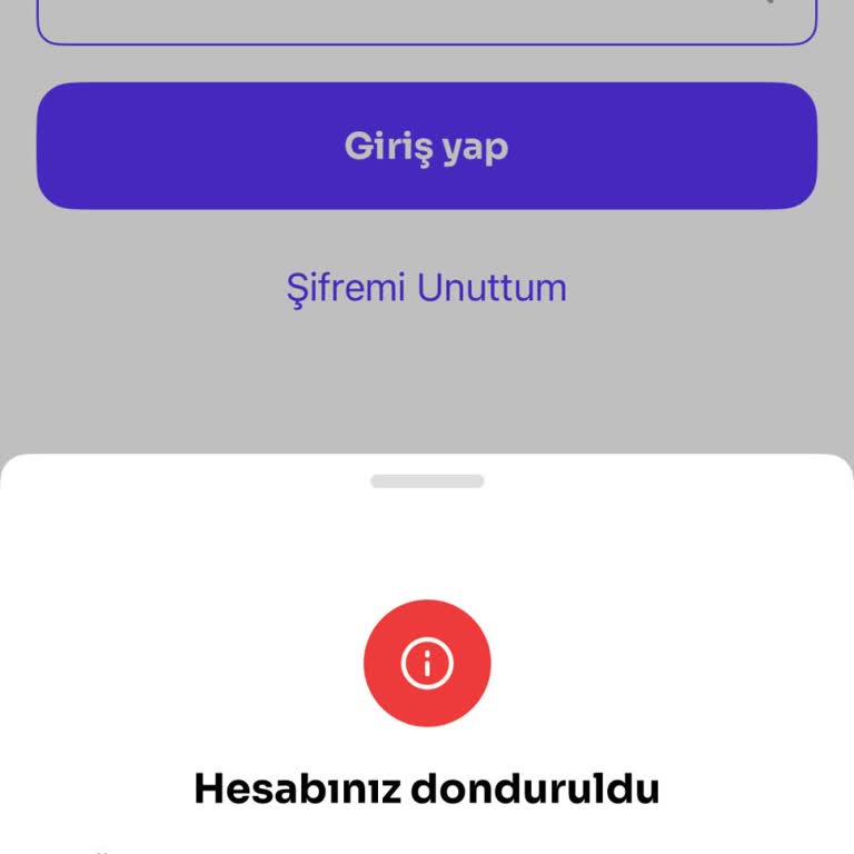 Ödeme Yapılmasına Rağmen Sisteme Giriş Yapılamıyor