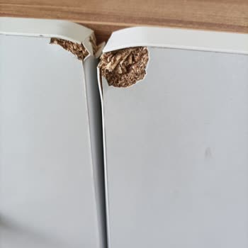 Evkur'dan Aldığım Eşyalar Sürekli Kusurlu Geliyor!