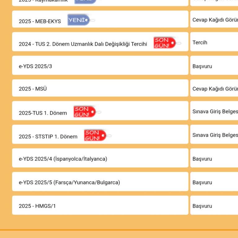 DGS Başvuru Sorunu: Yıllarım Boşa Gitmesin