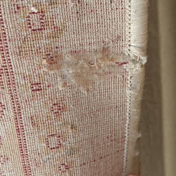 Kaşmir Halı Yıkama Halı Yıkama Fabrikasında Yaşanan Sorun