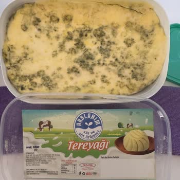 Arslanım Süt Ve Süt Ürünleri Kapağını Bile Açmadığım Yağlar Küflenmiş!