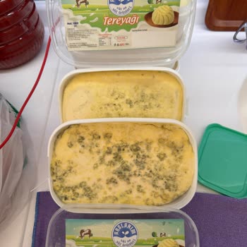 Arslanım Süt Ve Süt Ürünleri Kapağını Bile Açmadığım Yağlar Küflenmiş!