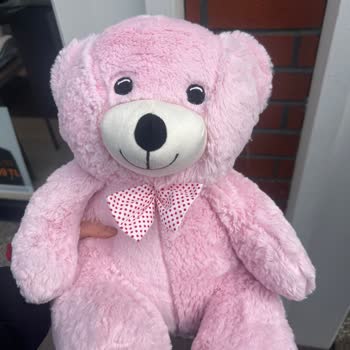 Değişim Sözü Verilen Peluş Oyuncak İçin Hayal Kırıklığı