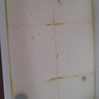 Dost Süzme Peynirde Küf!