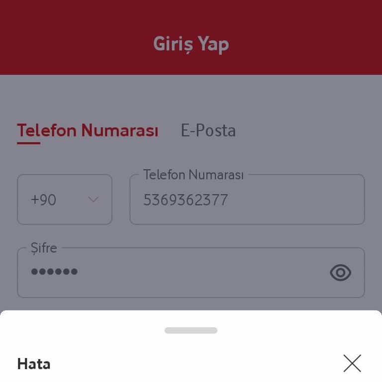 Hesap Kilitlenmesi Sorunu Ve Acil Çözüm Talebi