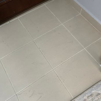 Dyson V15 Submarine Hayal Kırıklığı: Performans Ve Destek Sorunları