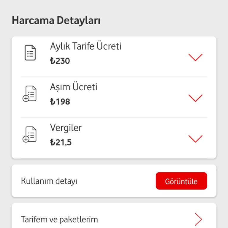Vodafone'dan Fatura Şoku: Yurt Dışı Dakikalarım Nerede?