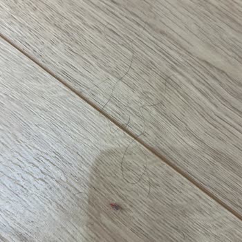 Temizlik Hizmeti Sonrası Hayal Kırıklığı Ve Kaba Davranış