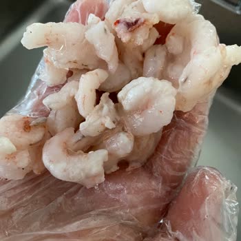 Tarım Kredi Kooperatif Market Bozuk Karidesle Orucum Bozuldu