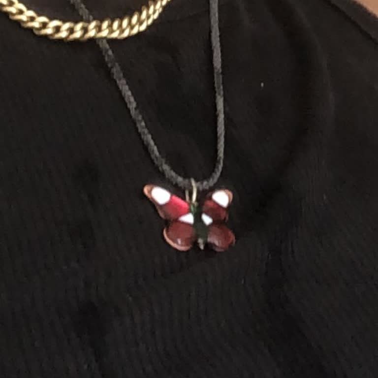 Otobüste Kaybolan Kolyem İçin Yardım Bekliyorum