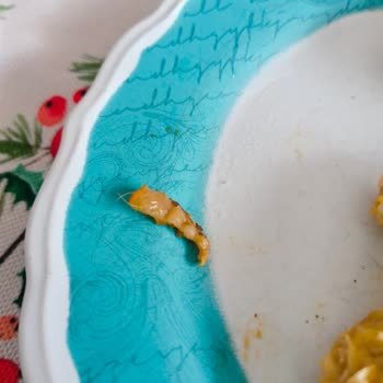 Superfresh Dürüm Tostta Tavuk Yerine Deri Ve Kıl Şoku