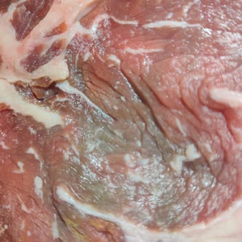 Migros Macro Center'dan Bozuk Et Ve Kötü Soğanlar