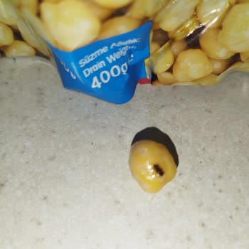 Ürün İçinden Çıkan Böcek Şoku