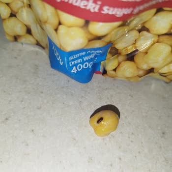 Ürün İçinden Çıkan Böcek Şoku