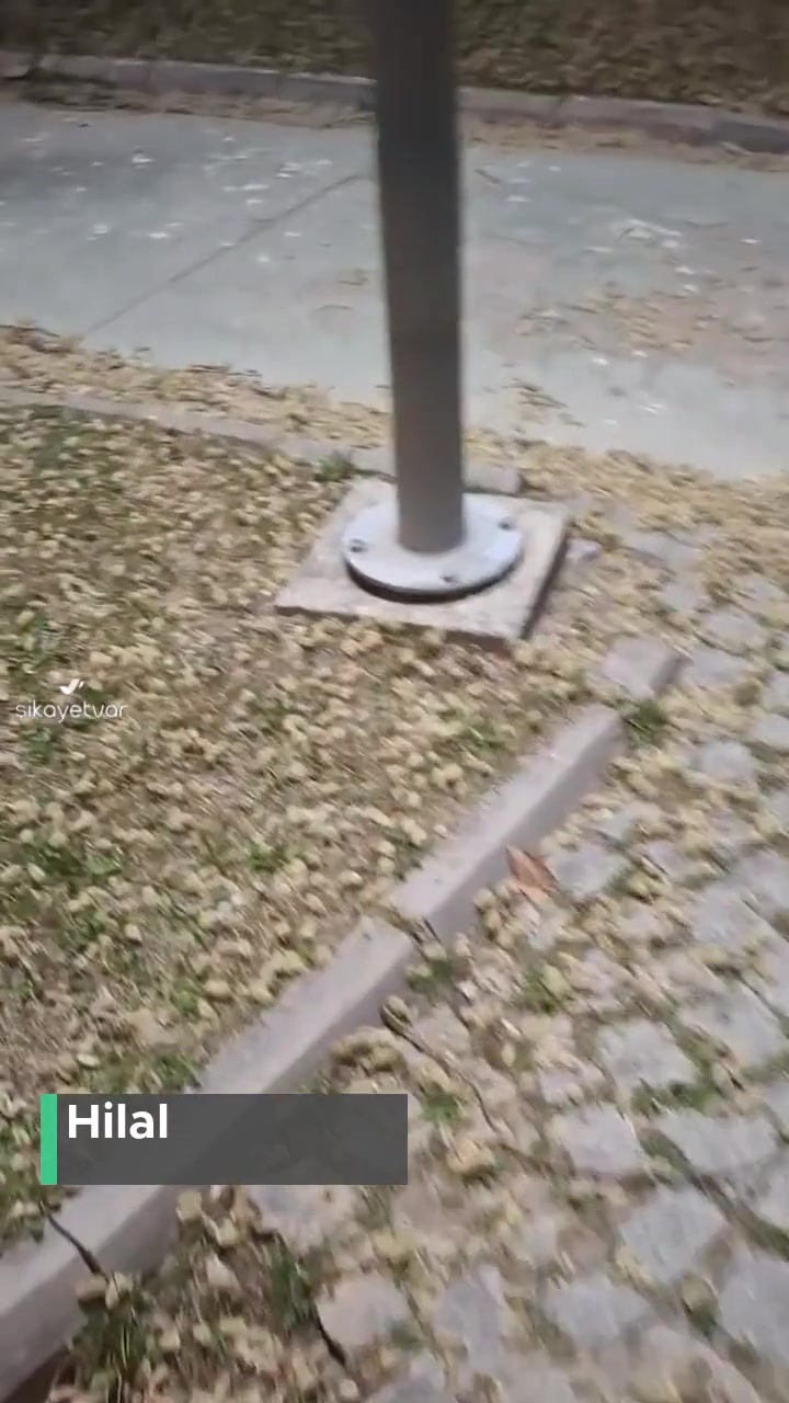 Ankara Büyükşehir Belediyesi Harikalar Diyarını Mahvetti! videonun kapak resmi
